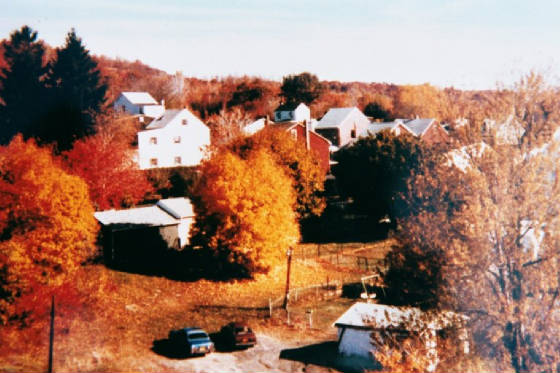 pic062.jpg