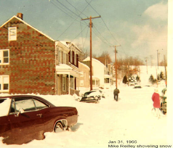 pic16.jpg