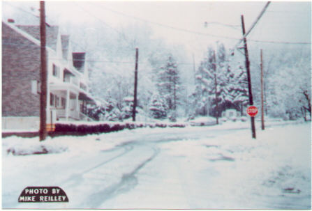 winter.scene.low.jpg